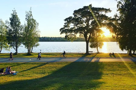 Parklandschaft Sonnenuntergang über Gewässer