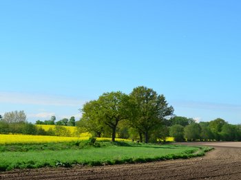 Naturlandschaft